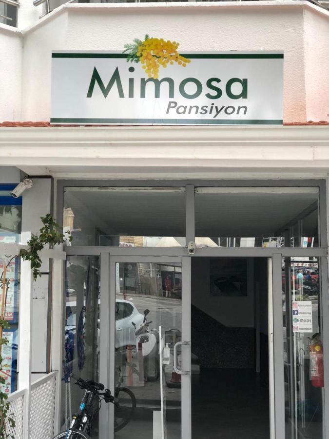 Mimosa Pension Kaş Extérieur photo